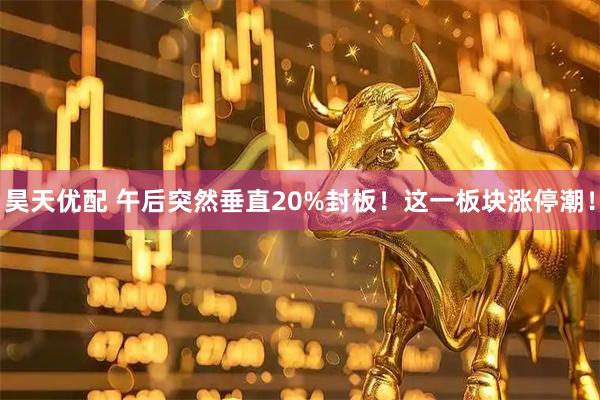昊天优配 午后突然垂直20%封板！这一板块涨停潮！