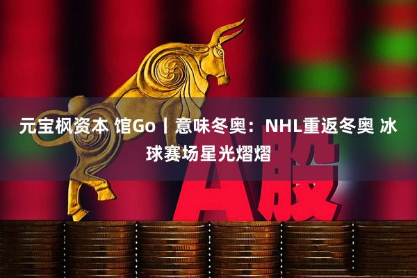 元宝枫资本 馆Go丨意味冬奥：NHL重返冬奥 冰球赛场星光熠熠