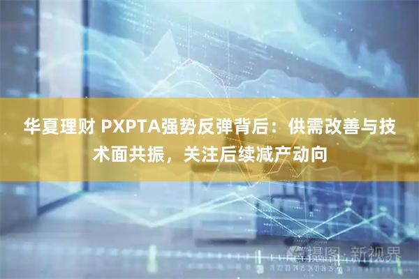 华夏理财 PXPTA强势反弹背后：供需改善与技术面共振，关注后续减产动向