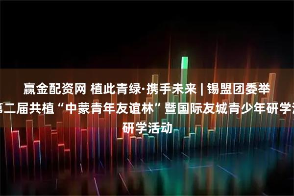 赢金配资网 植此青绿·携手未来 | 锡盟团委举办第二届共植“中蒙青年友谊林”暨国际友城青少年研学活动